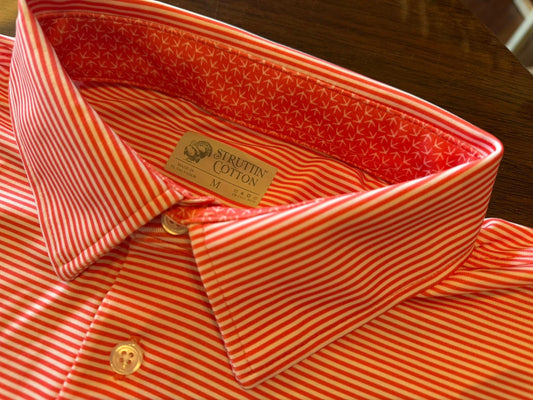 Struttin Cotton Men's Andy Stripe with Turkey Tracks Polo Shirt