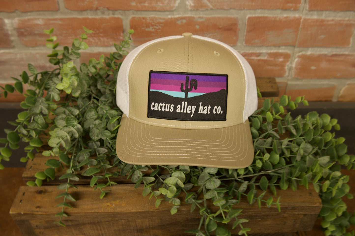 Cactus Alley Chromatic Patch Snapback Hat