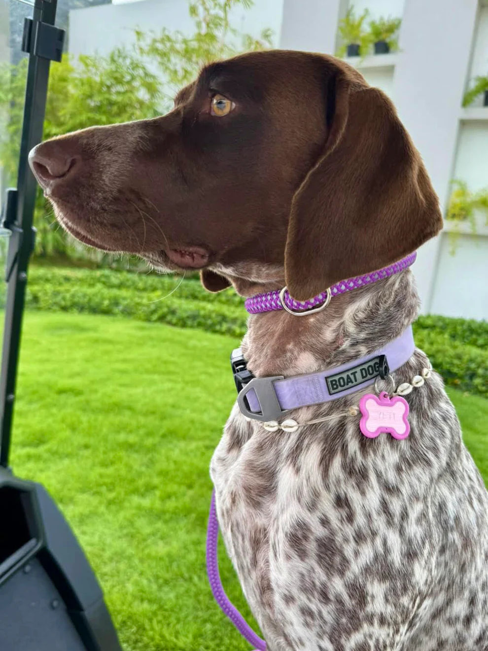 Boat Dog Company Water Proof Dog Collar