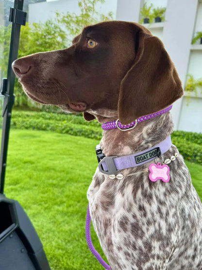 Boat Dog Company Water Proof Dog Collar
