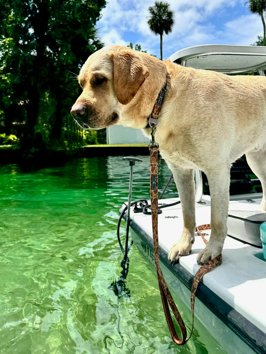 Boat Dog Company Water Proof Dog Collar