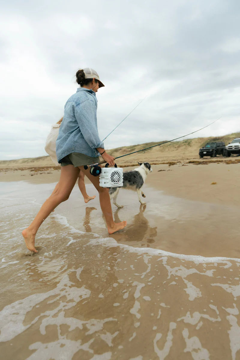 Turtlebox Cub Portable Audio Speaker