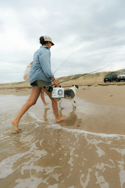 Turtlebox Cub Portable Audio Speaker
