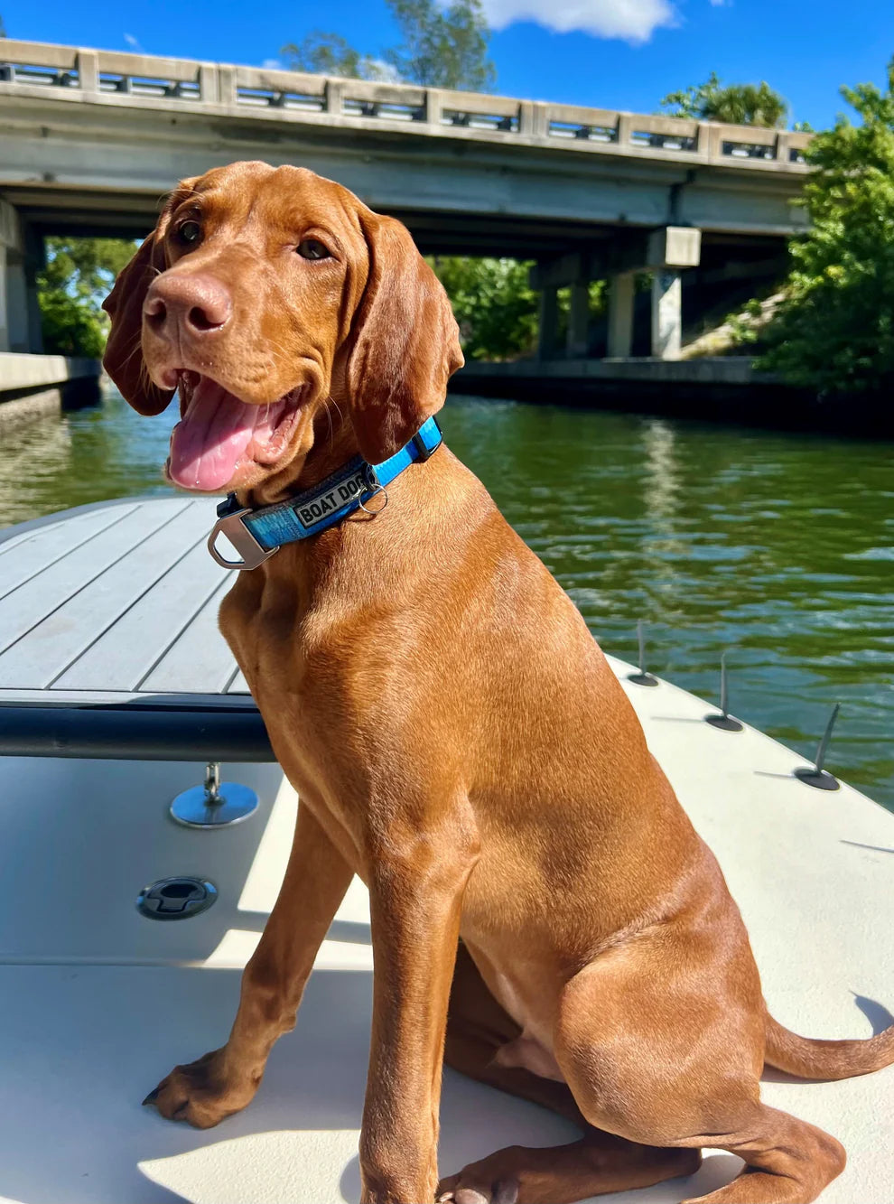Boat Dog Company Water Proof Dog Collar