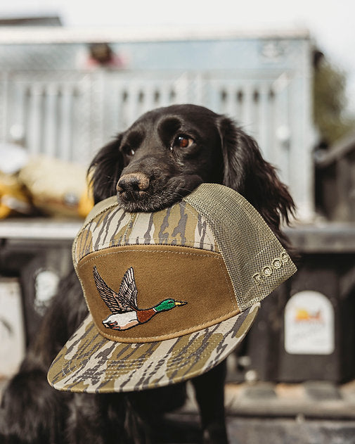 Roost Waterfowl Roost Bottomland Duck Embroidered 7 Panel Snapback Hat