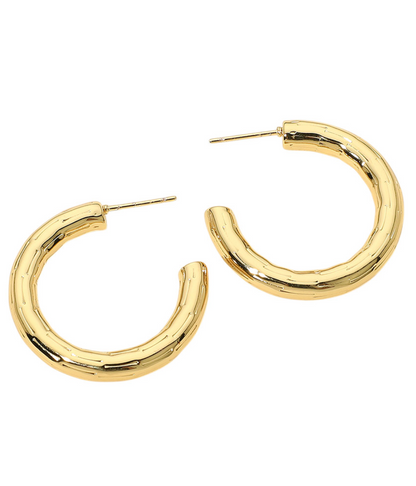 Stainless Steel Chunky Hoops