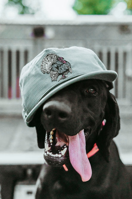 Roost Waterfowl Roost Turkey Embroidered Rope Snapback Hat