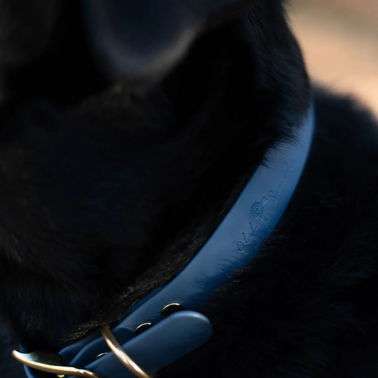 Old South Dog Collars